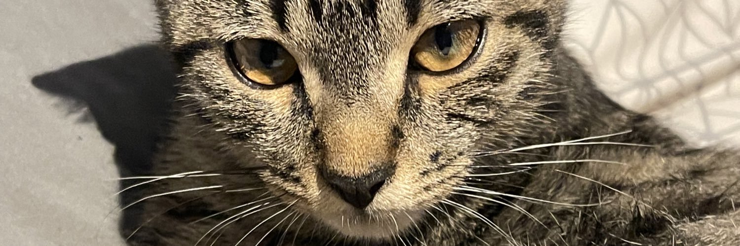 just_ineeees's profile banner image