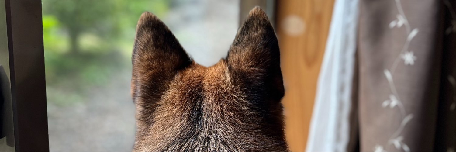 Xitamaevom's profile banner image