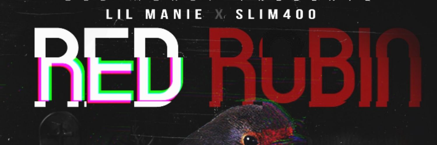 Lil__Manie's profile banner image