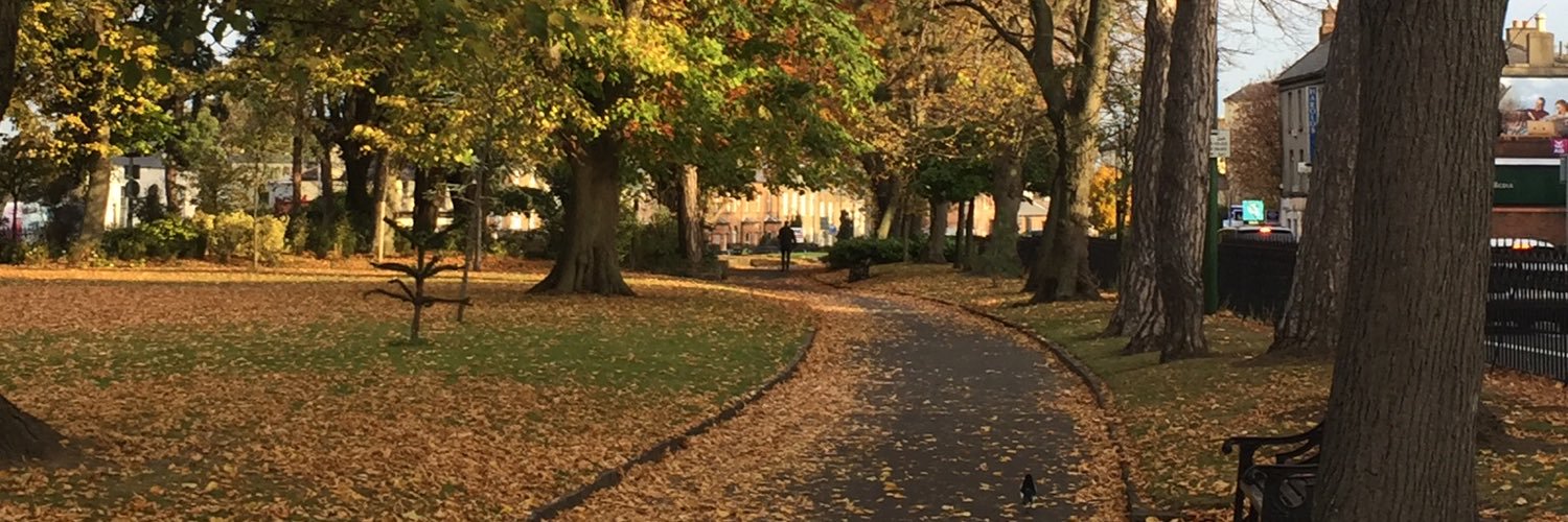 cullisar's profile banner image