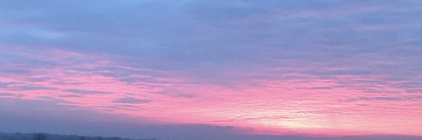 TKjaer Profile Banner