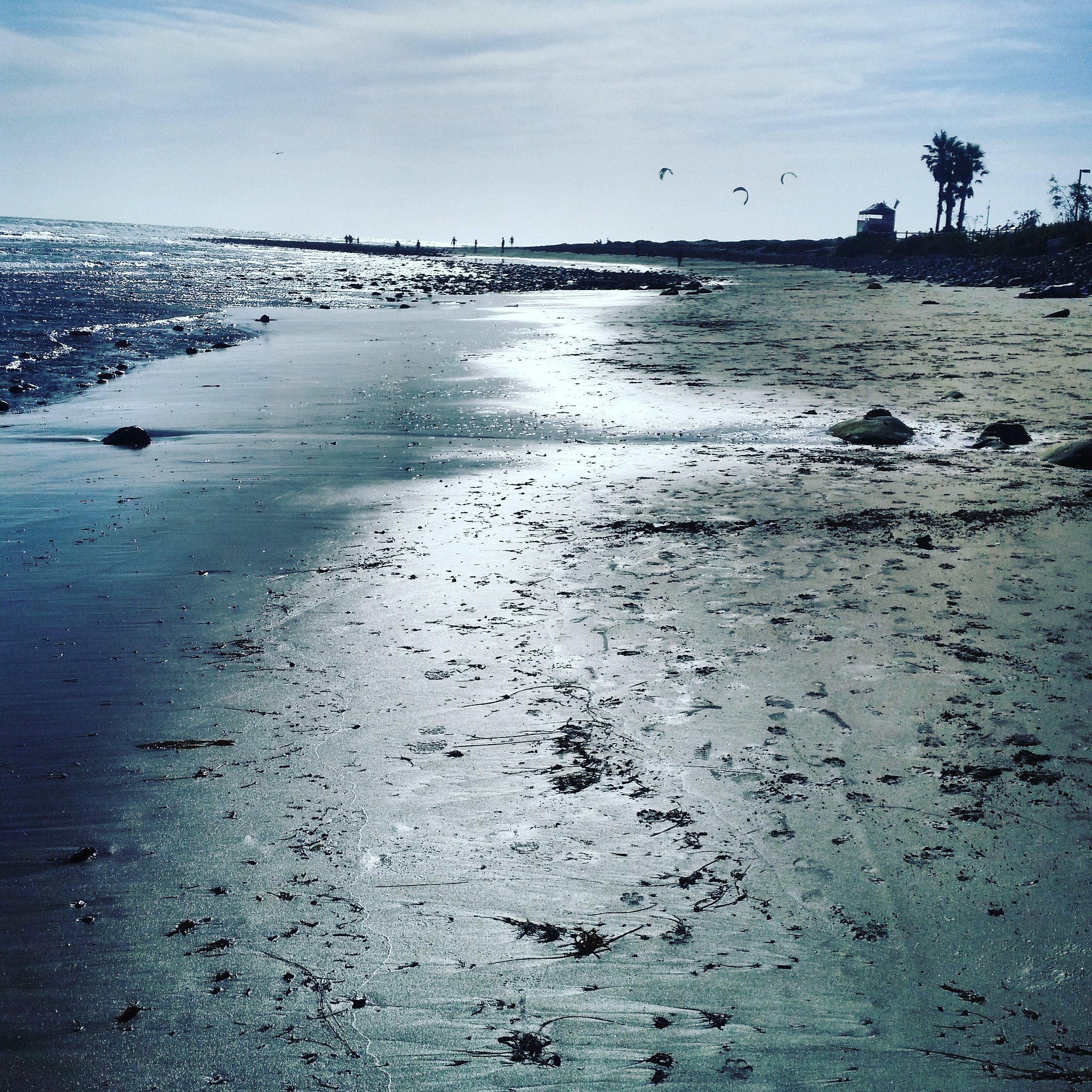 Savanah_Riley's profile banner image