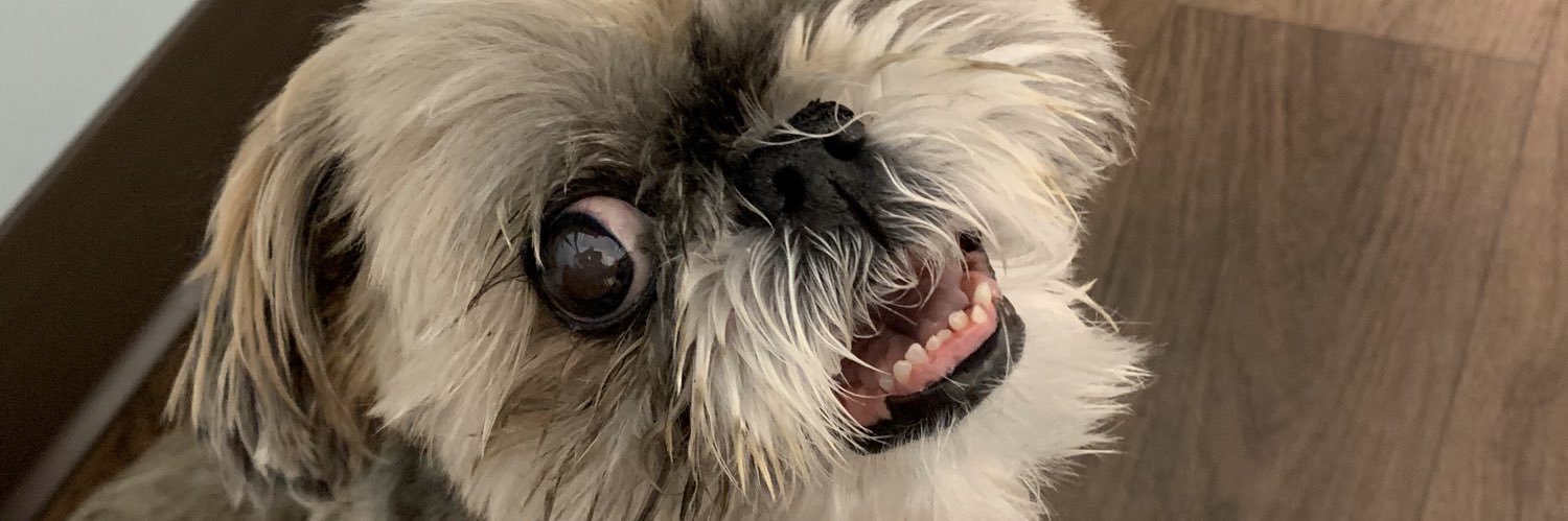 kaitlynsinger_'s profile banner image