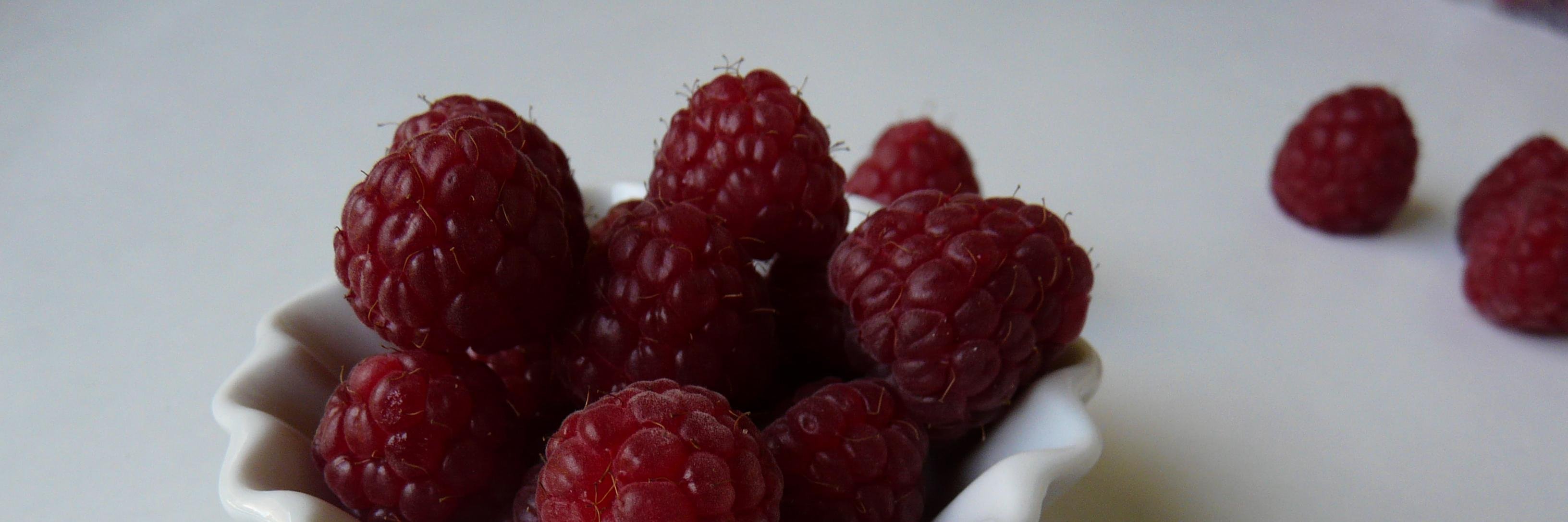 candida de amicis banner