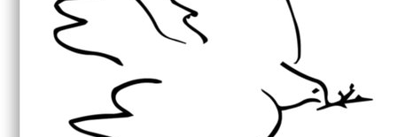 cigdemcimrin's profile banner image