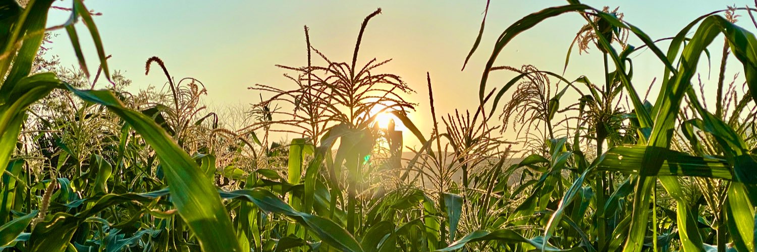kiva85's profile banner image