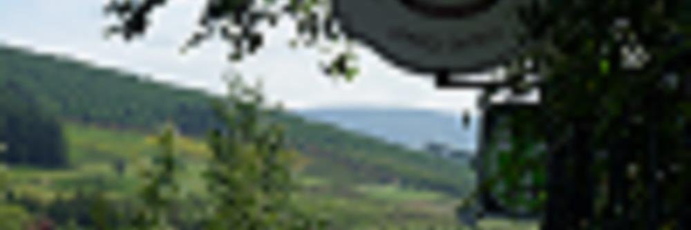 MacreddinRock's profile banner image