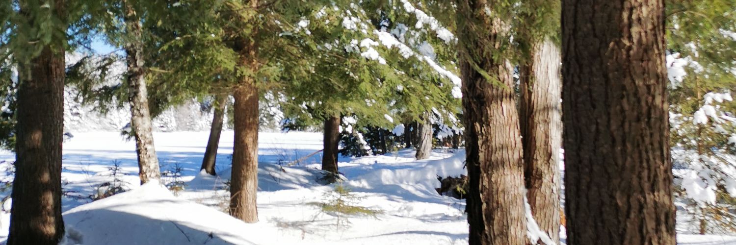 scsentiments's profile banner image