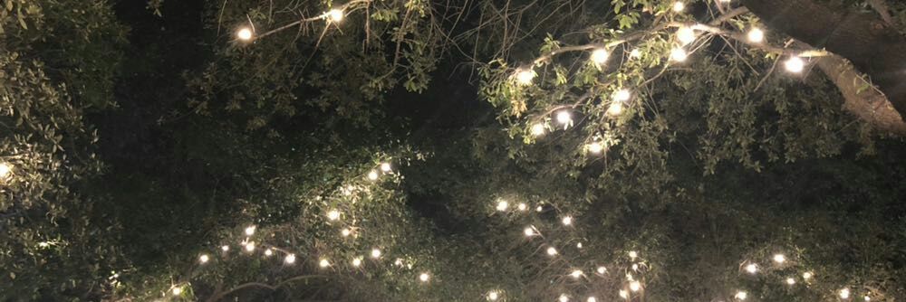 kd_boy's profile banner image