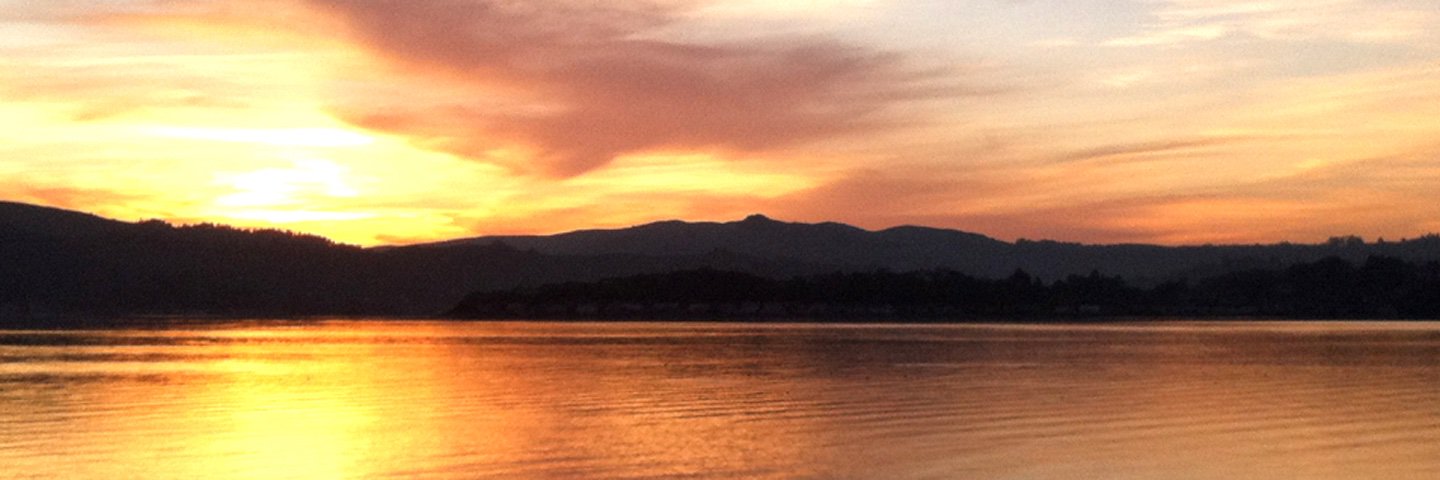 Bryn Llewellyn banner