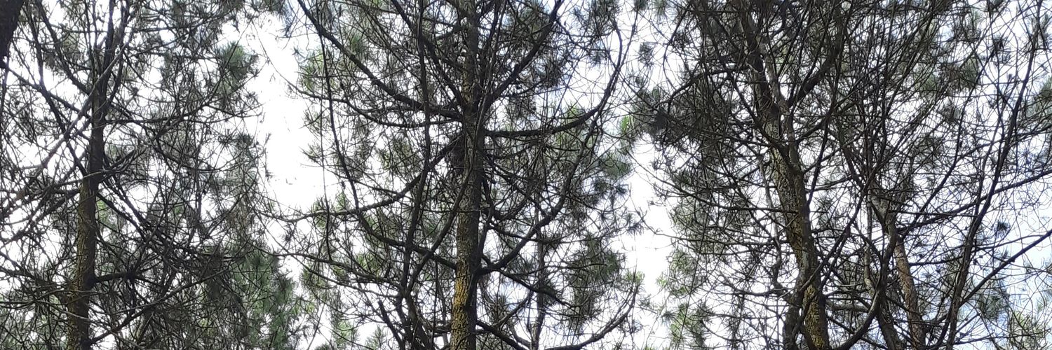 Nomeamesc's profile banner image