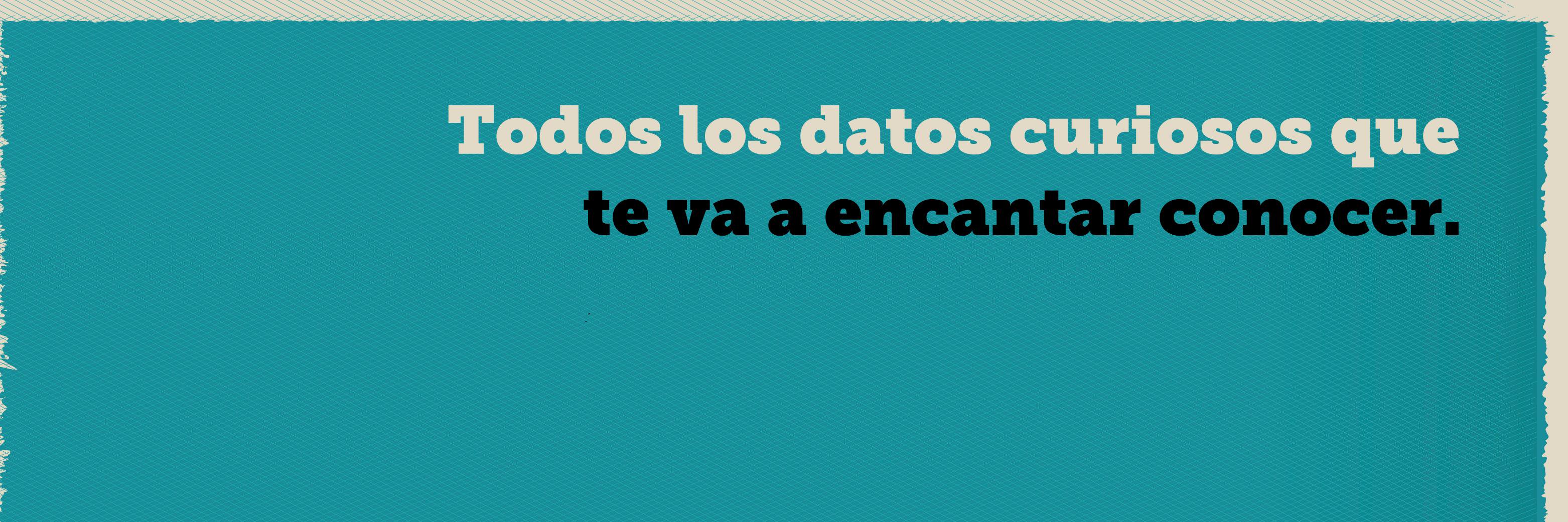 TimeIngenio's profile banner image