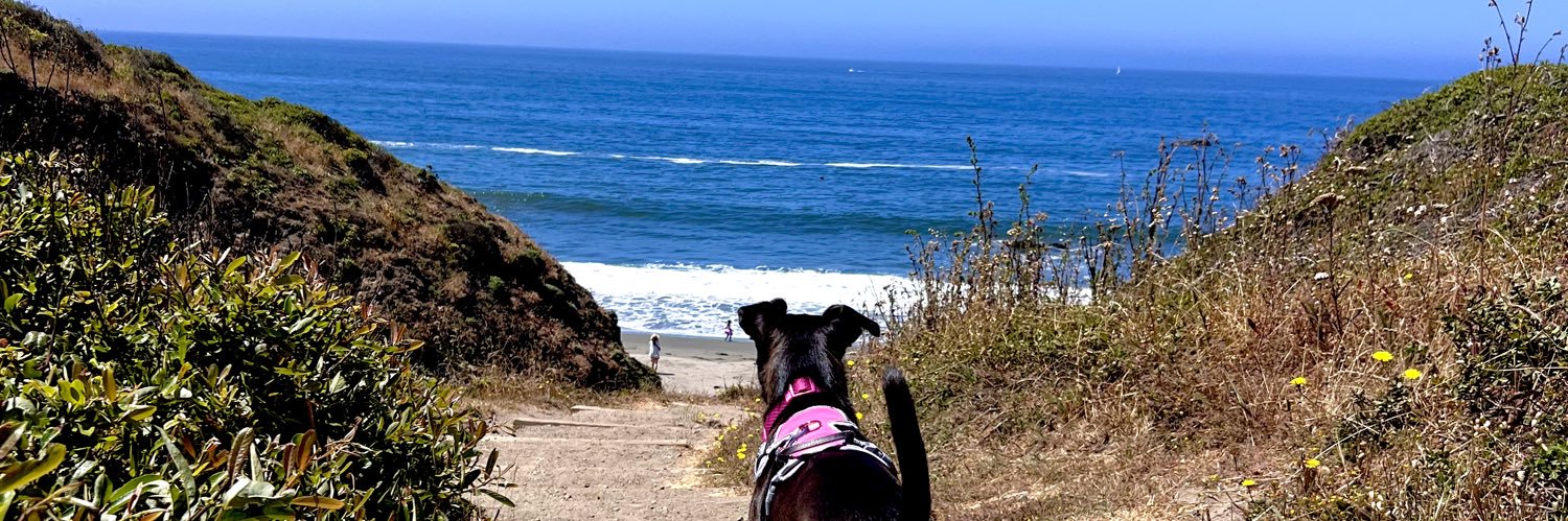 oldhag1092's profile banner image