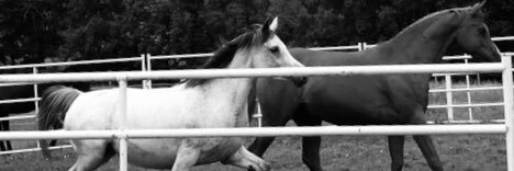 Marpartlow's profile banner image