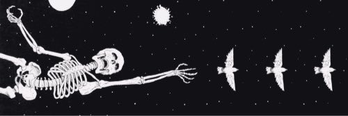 melsezerino's profile banner image