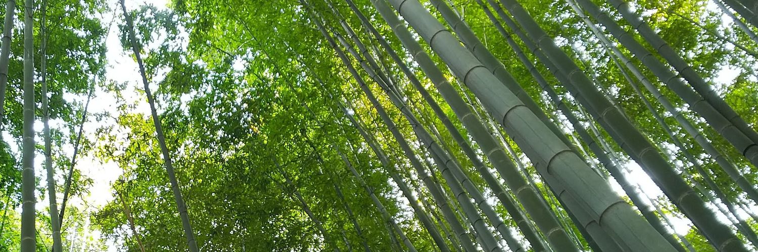 matumoto211's profile banner image