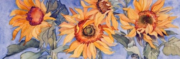_ayeshapervez's profile banner image