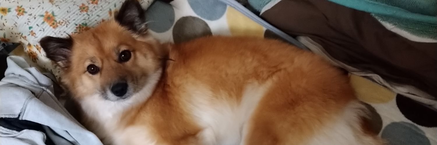 rockaranmaru's profile banner image