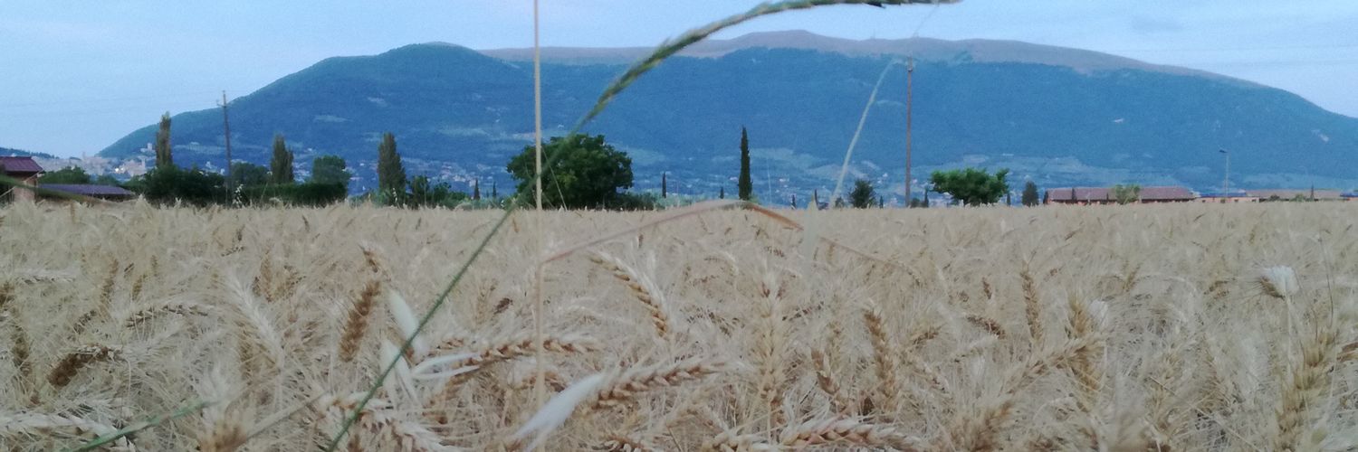 Zavje's profile banner image