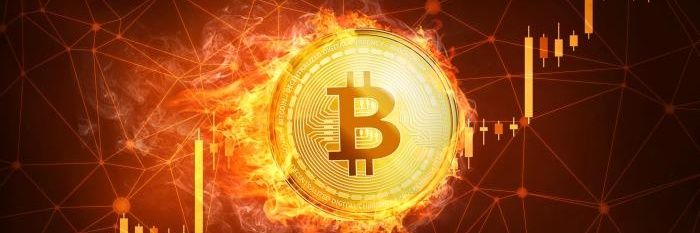 vicente_rojo's profile banner image
