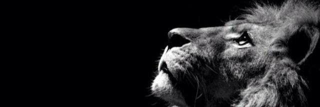 bradyferg1's profile banner image