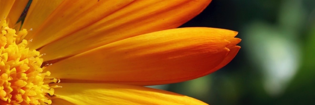 Beyond Nuclear banner