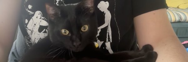 pipianspice Profile Banner