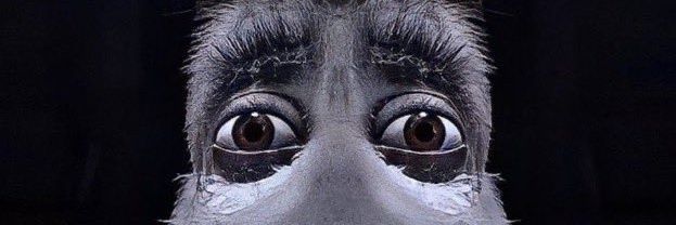 OnePennyRaptor's profile banner image