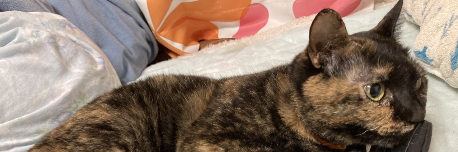 watercat69's profile banner image