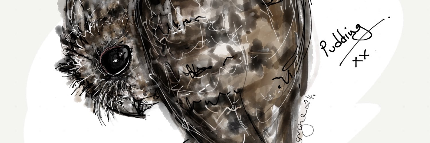 Georgieiwc's profile banner image