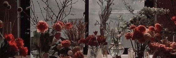 michi ⁷🪭 | ⊙⊝⊜ banner