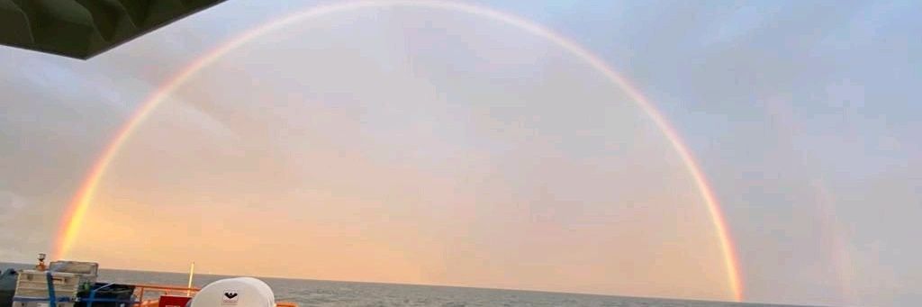 Patch Phillips banner