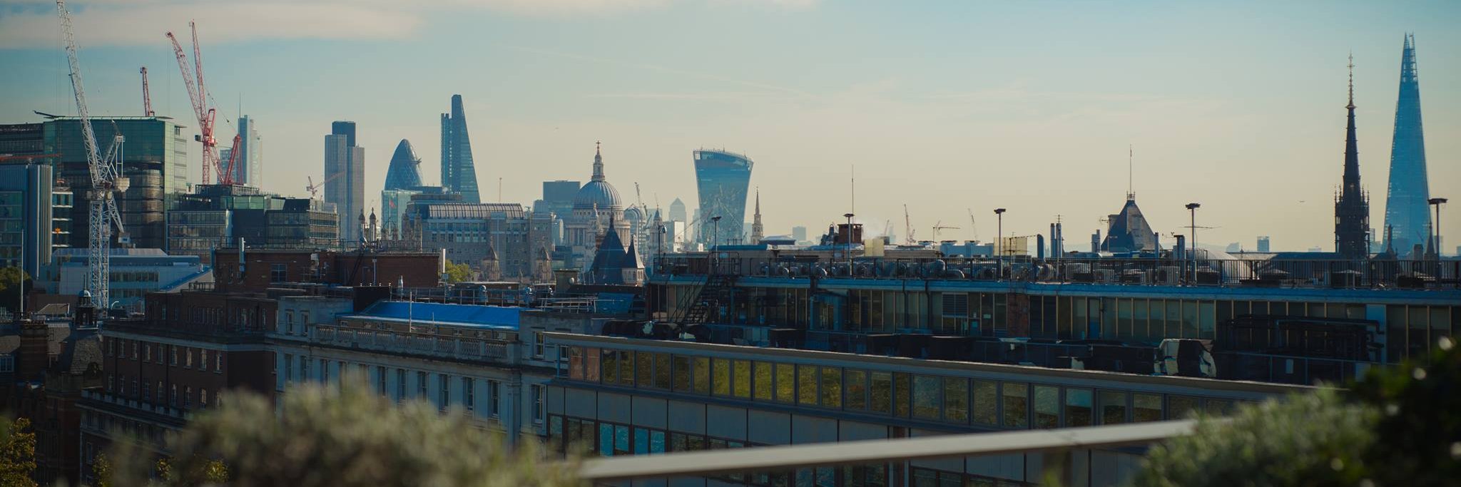 LSEManagement's profile banner image