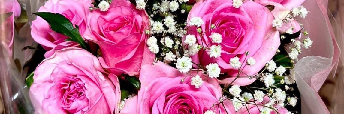 AliceLoveJKCAT's profile banner image