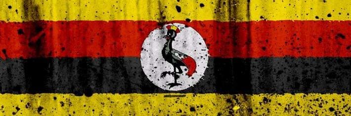 Quentin. banner