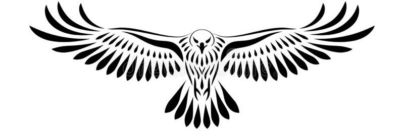 Hawke_429's profile banner image