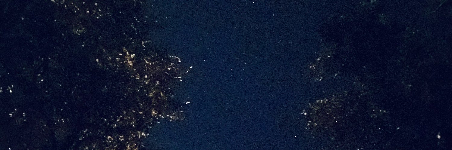 dalbarias's profile banner image