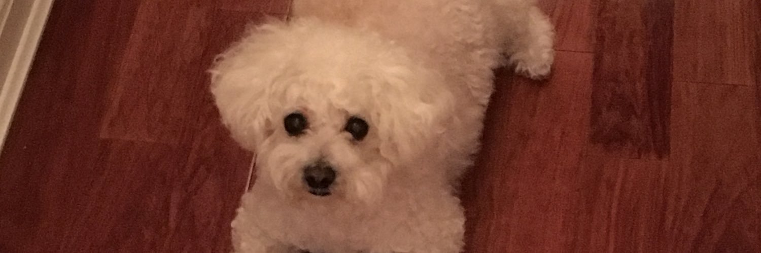 Mac Rox 🇺🇸🎮🗡️🛡️🇮🇹🙏🕯️🐰✝️ banner