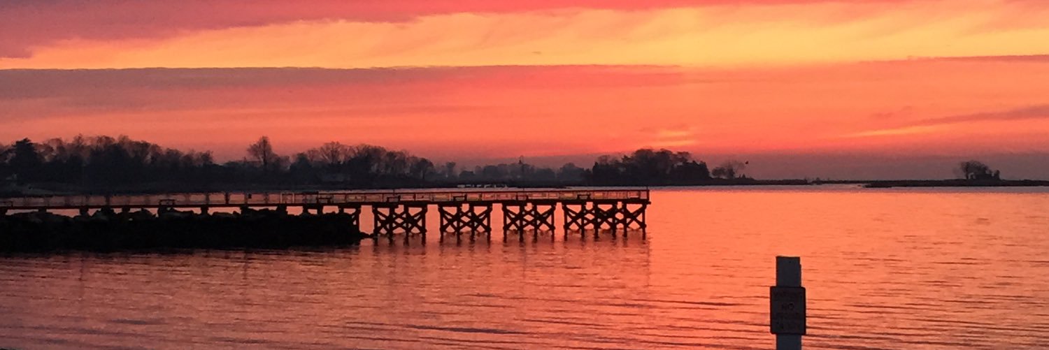 Stephanie Garry banner