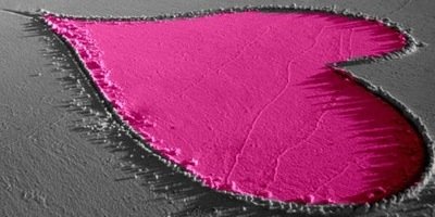maxcey_3's profile banner image