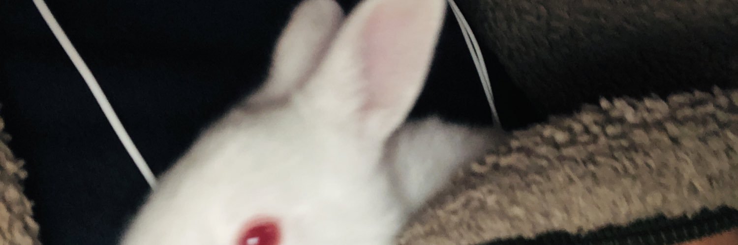 iamfmvhs's profile banner image