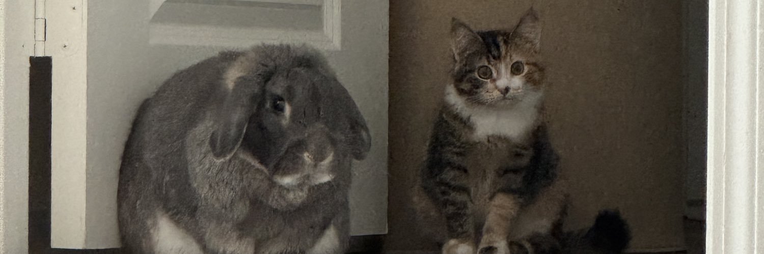 amyoox_'s profile banner image