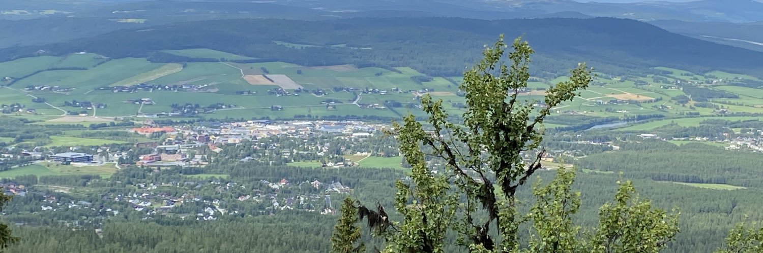 Asgeir Røset banner