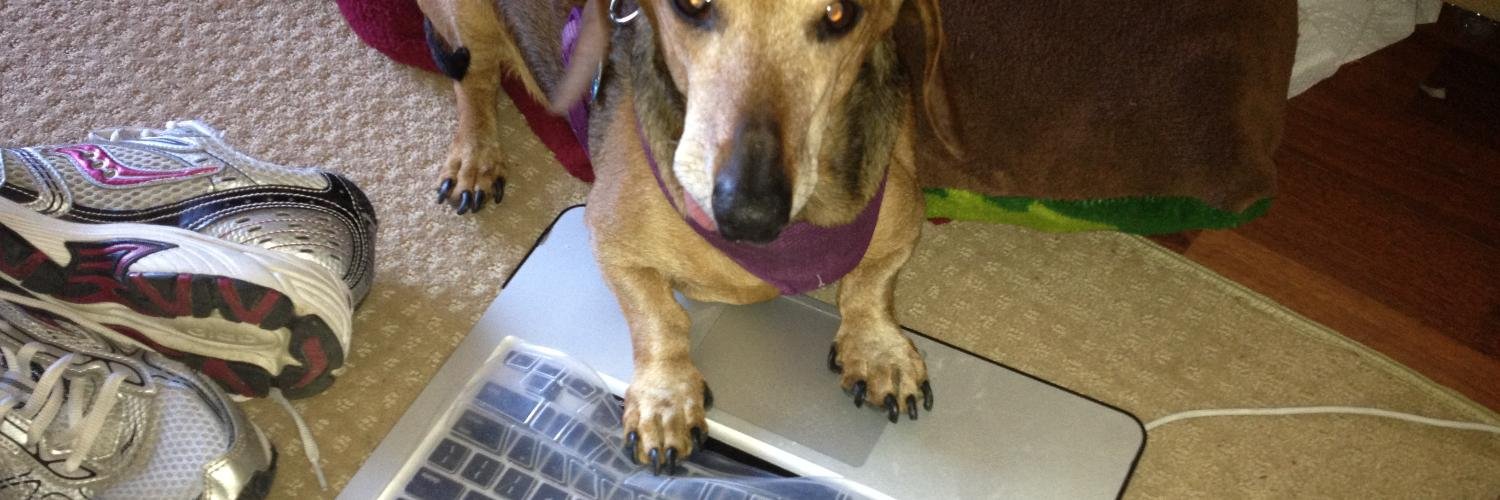 Mr. Sturtevant banner