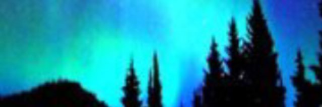 amy_lainus's profile banner image