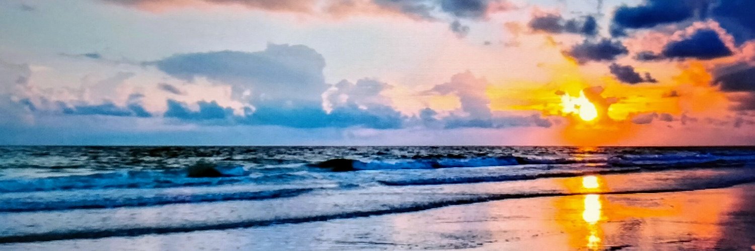 ChavidrueBerger's profile banner image