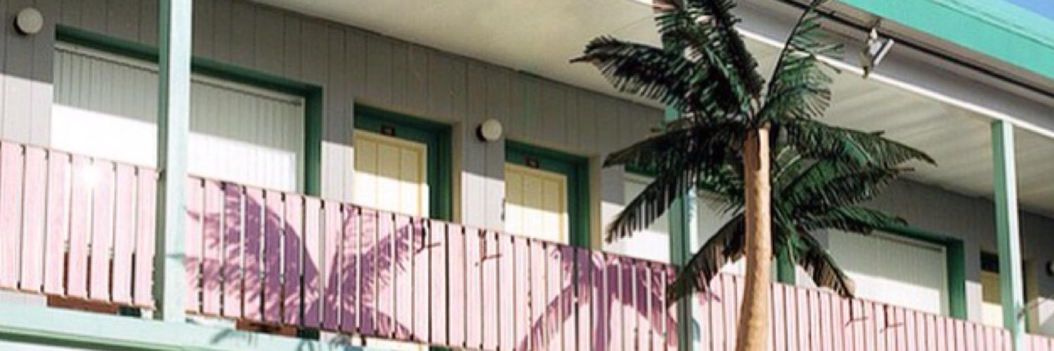 fidreamwave's profile banner image