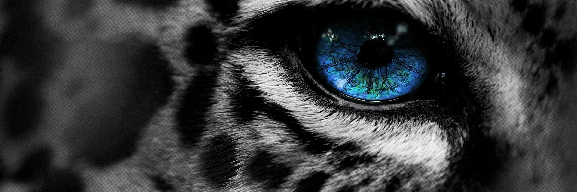 JimAparant's profile banner image