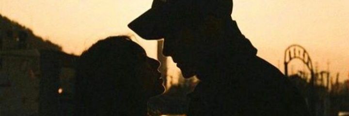 ocemalaffan's profile banner image
