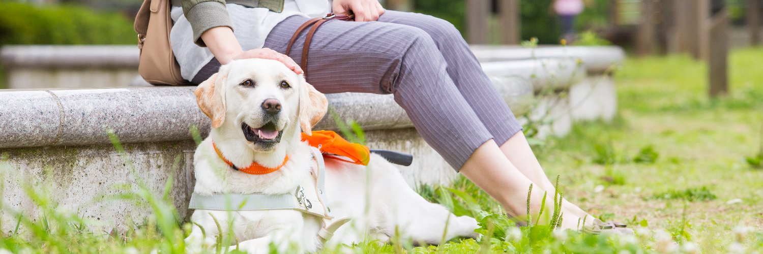 日本盲導犬協会 / Japan Guide Dog Association banner